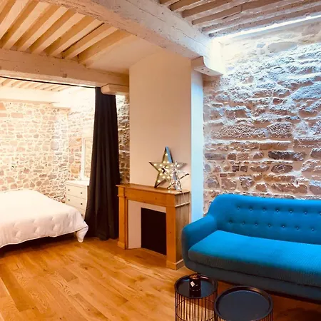 Appartement Le Cosy Pierre Scize